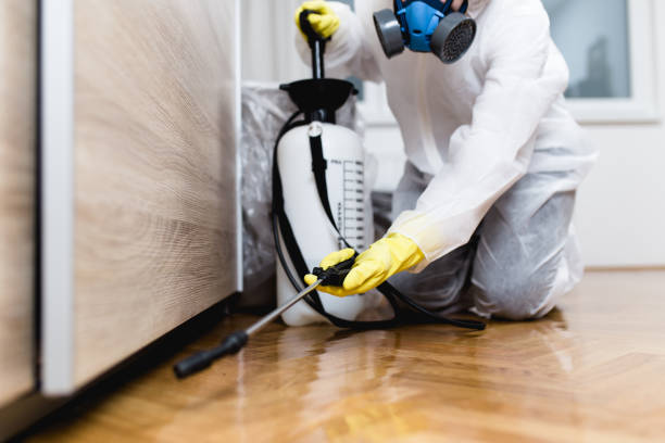 Best Best Pest Control Companies  in Dodson Branch, TN
