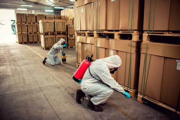 Best Affordable Pest Control Services  in Dodson Branch, TN