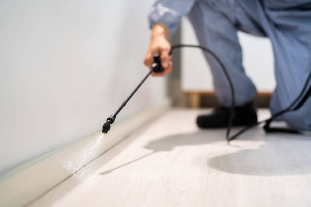 Best Pest Removal Services  in Dodson Branch, TN