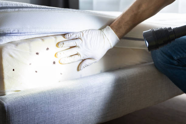 Best Pest Control Near Me  in Dodson Branch, TN