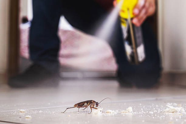 Best Pest Prevention Services  in Dodson Branch, TN