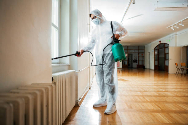 Best Rat Extermination Near Me  in Dodson Branch, TN