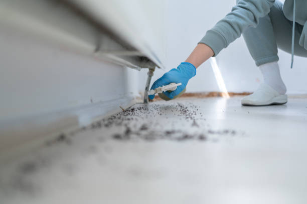 Best Wildlife Control Services  in Dodson Branch, TN